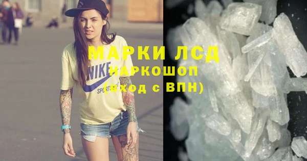 стаф Алексин
