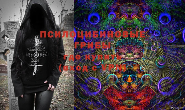 стаф Алексин